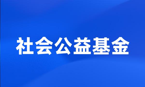 社会公益基金