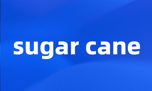 sugar cane