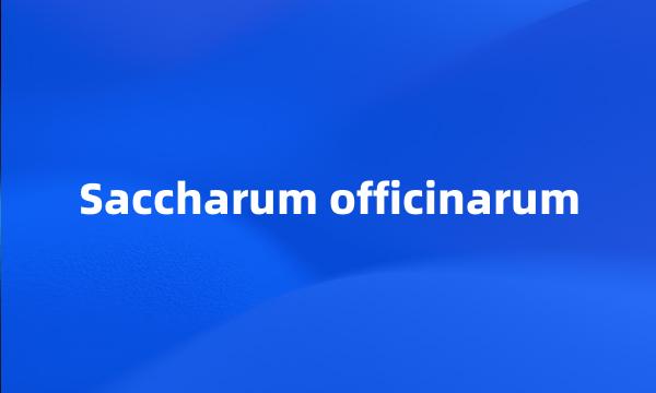 Saccharum officinarum