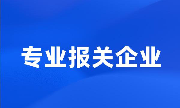 专业报关企业