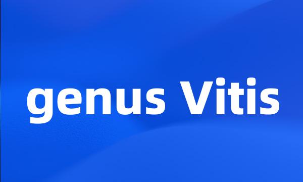 genus Vitis