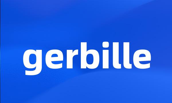 gerbille