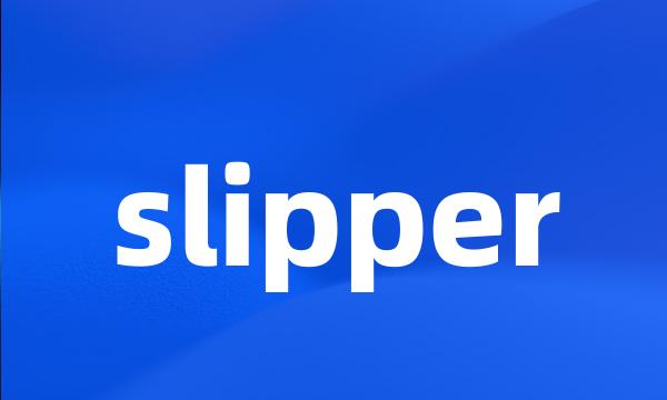 slipper