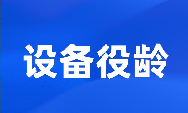 设备役龄