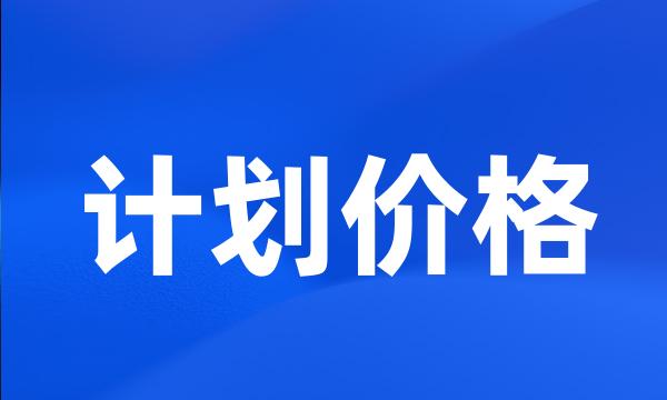 计划价格