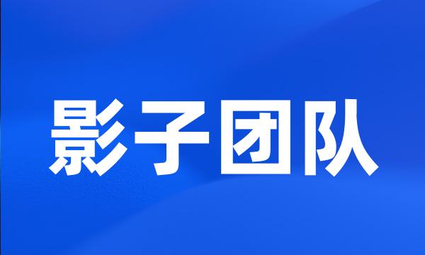 影子团队