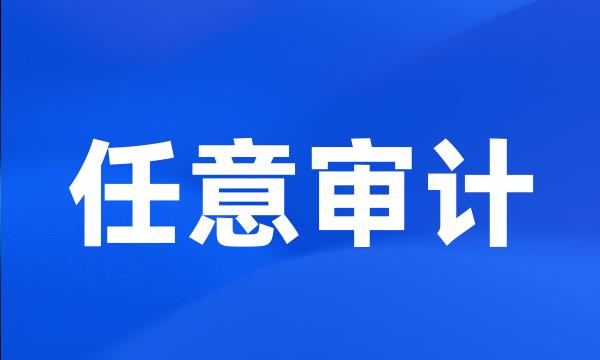 任意审计