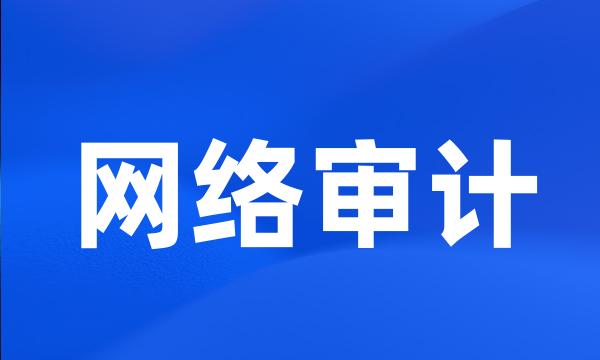 网络审计