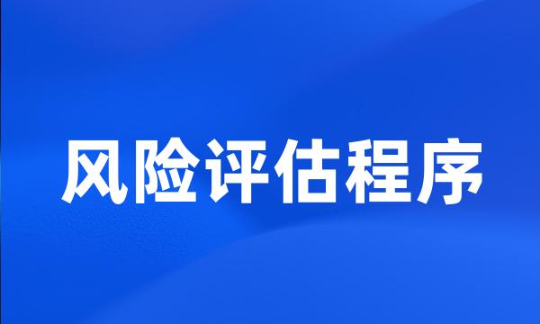 风险评估程序