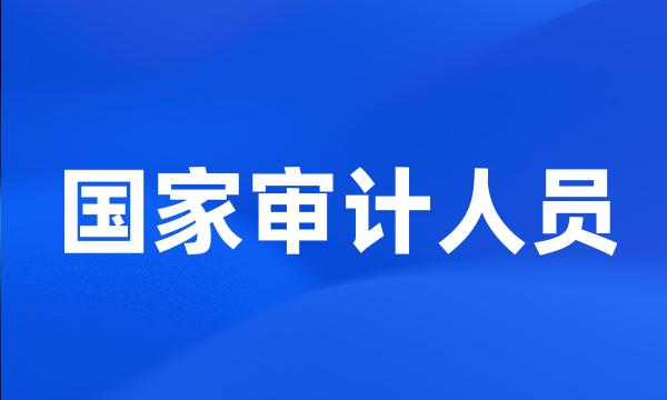 国家审计人员