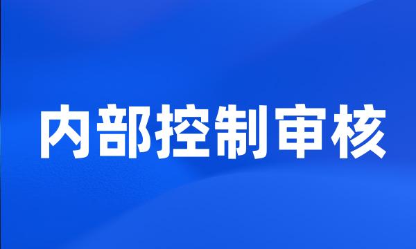 内部控制审核