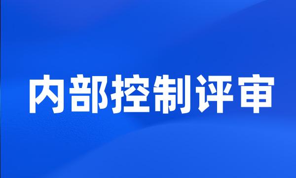 内部控制评审