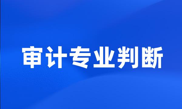 审计专业判断