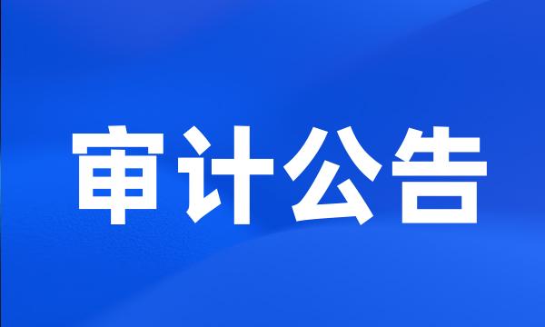 审计公告