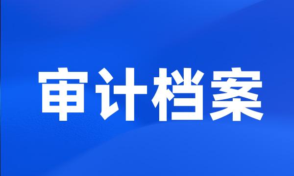 审计档案