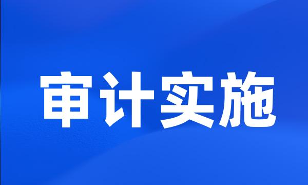 审计实施