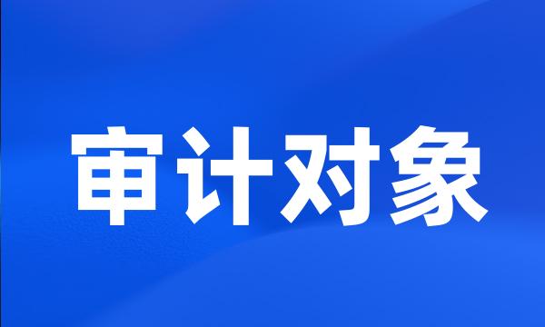 审计对象