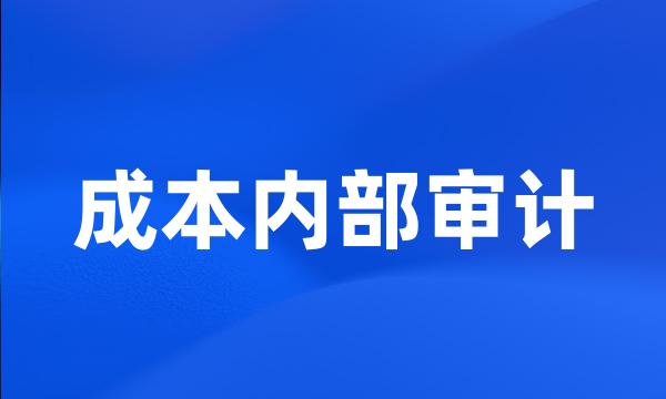 成本内部审计