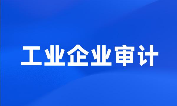 工业企业审计