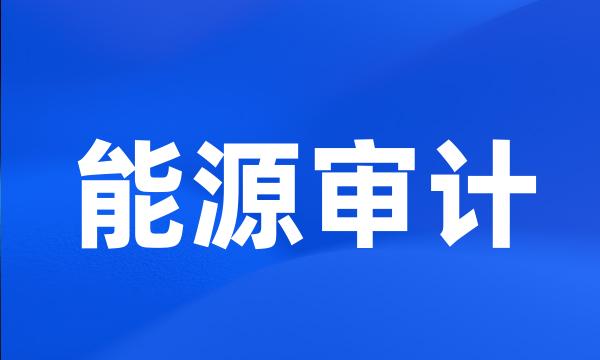 能源审计