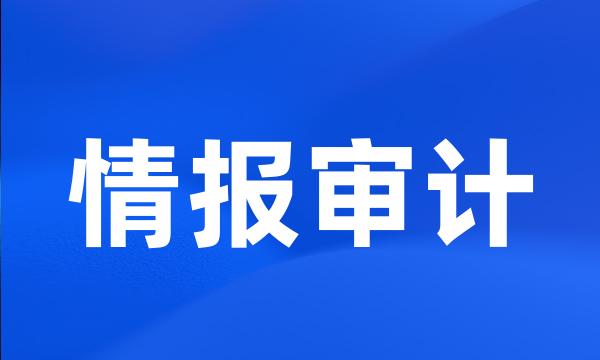 情报审计