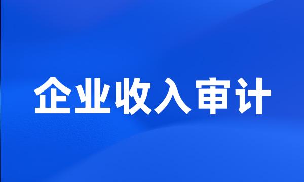 企业收入审计