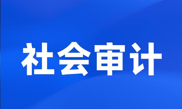 社会审计