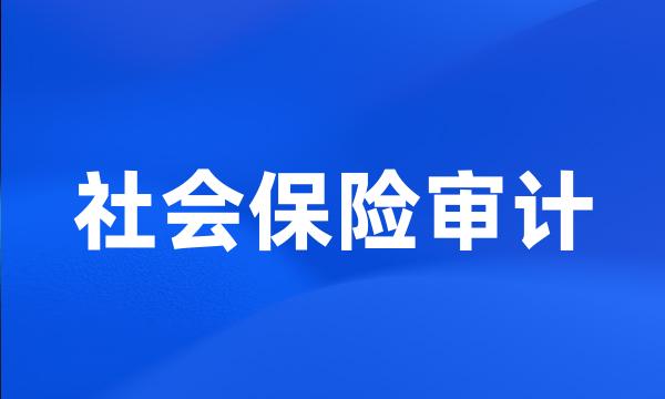 社会保险审计