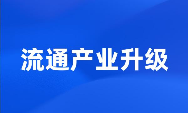 流通产业升级