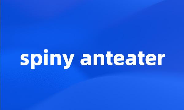 spiny anteater