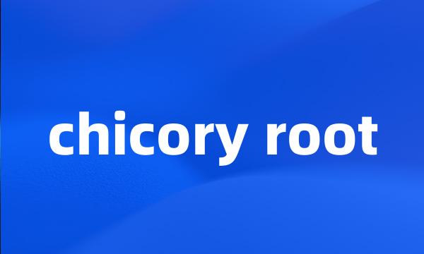 chicory root