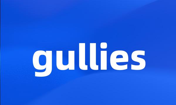 gullies