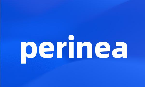 perinea