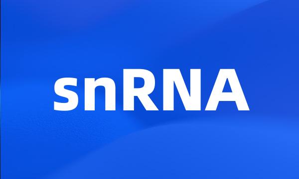 snRNA