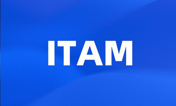 ITAM