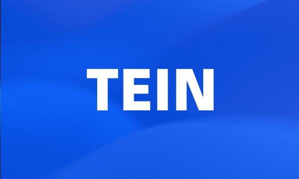 TEIN