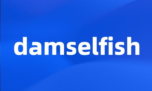 damselfish