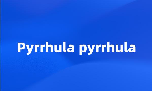 Pyrrhula pyrrhula