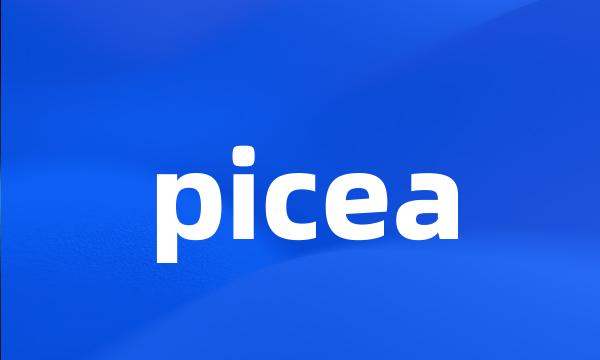 picea