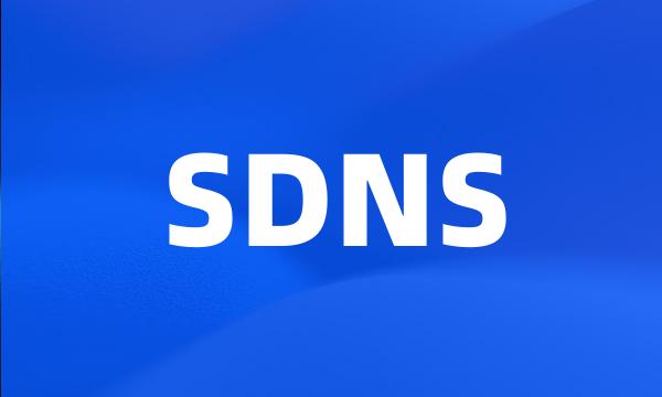 SDNS