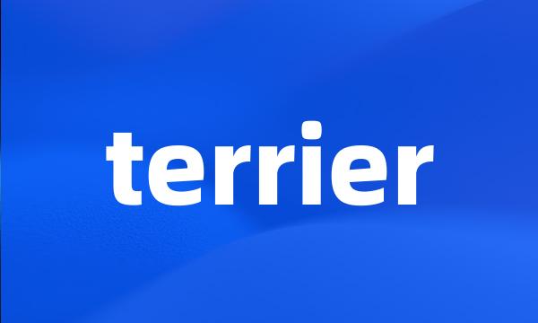 terrier