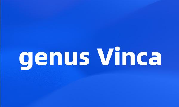 genus Vinca