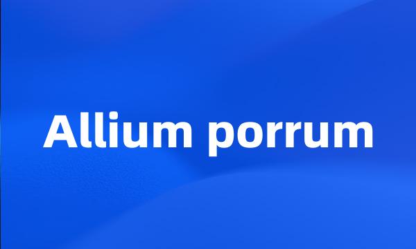 Allium porrum