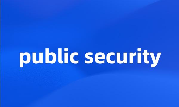 public security