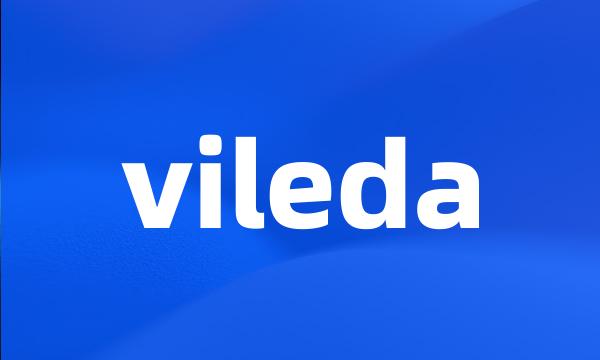 vileda