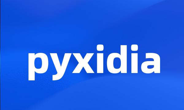 pyxidia