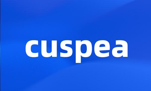 cuspea