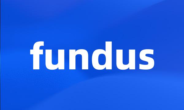 fundus