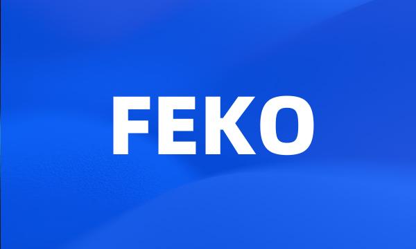 FEKO