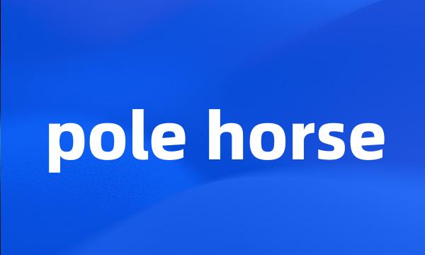 pole horse